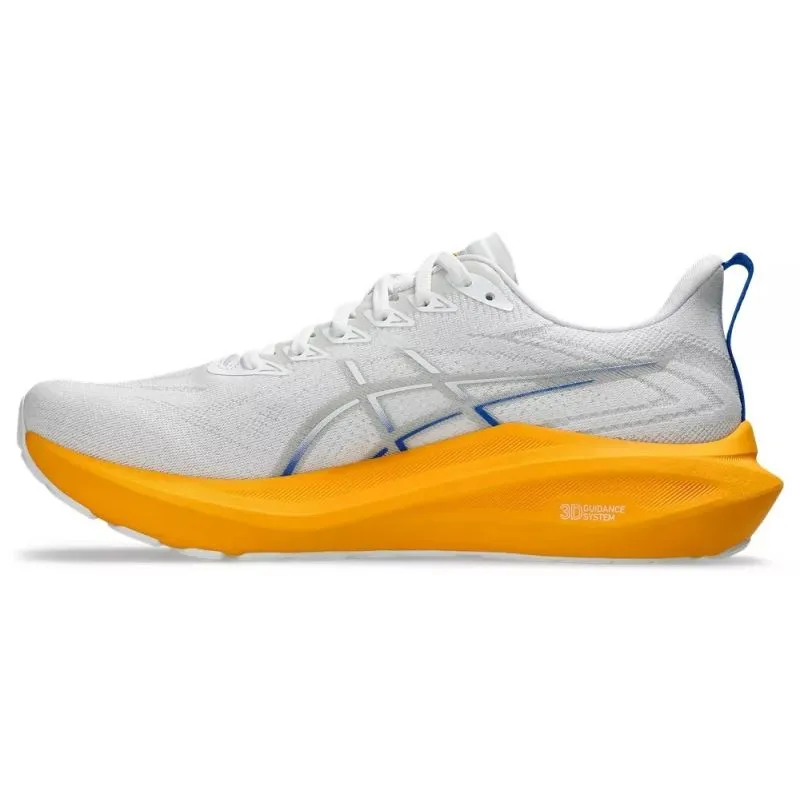 ASICS GT-2000 13 D Herren Laufschuhe