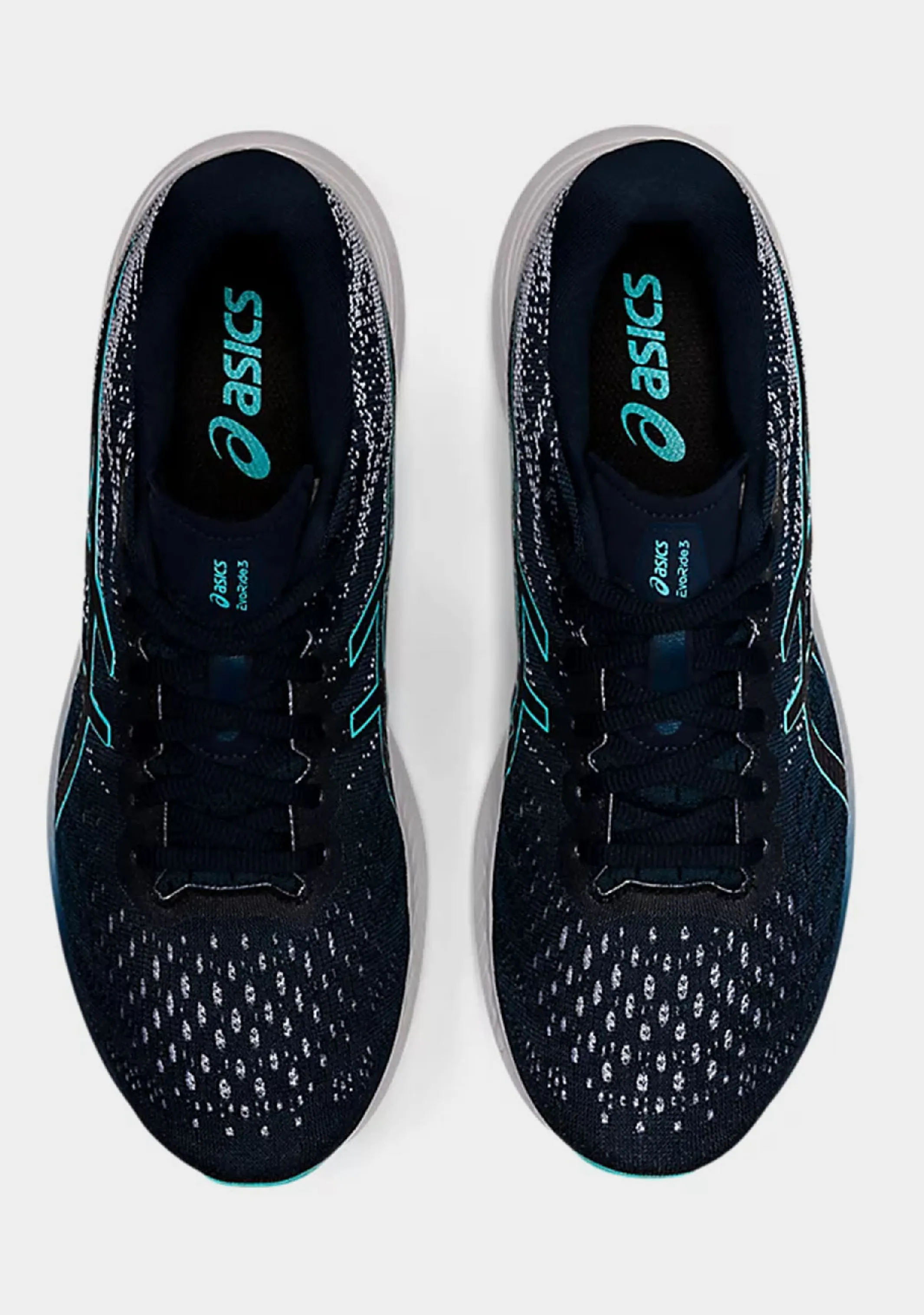 Asics Herren Evoride 3