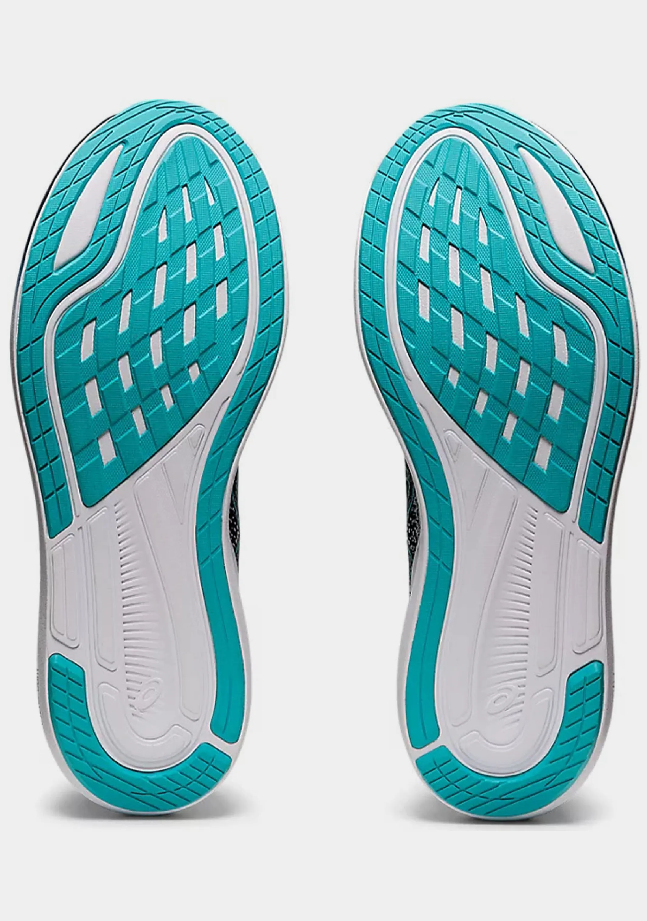 Asics Herren Evoride 3