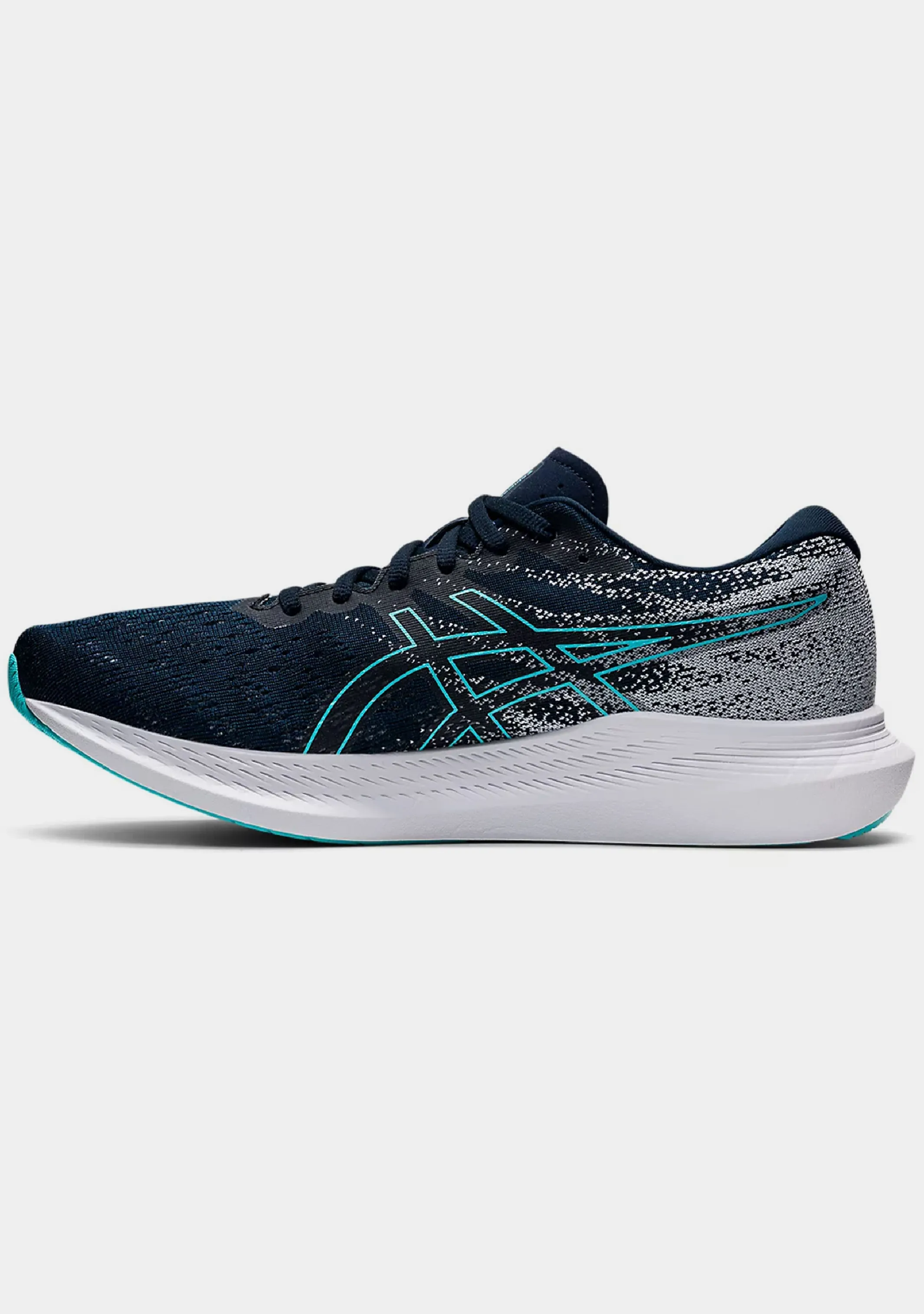 Asics Herren Evoride 3