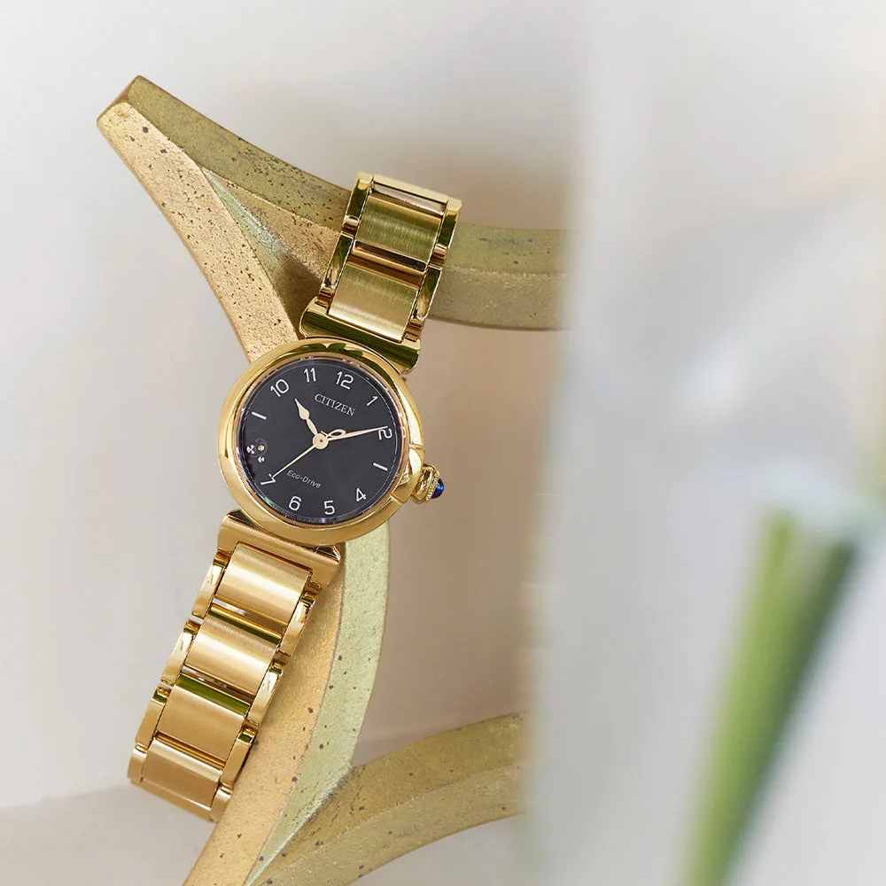 Citizen Uhren Citizen Eco-Drive EM1132-88H