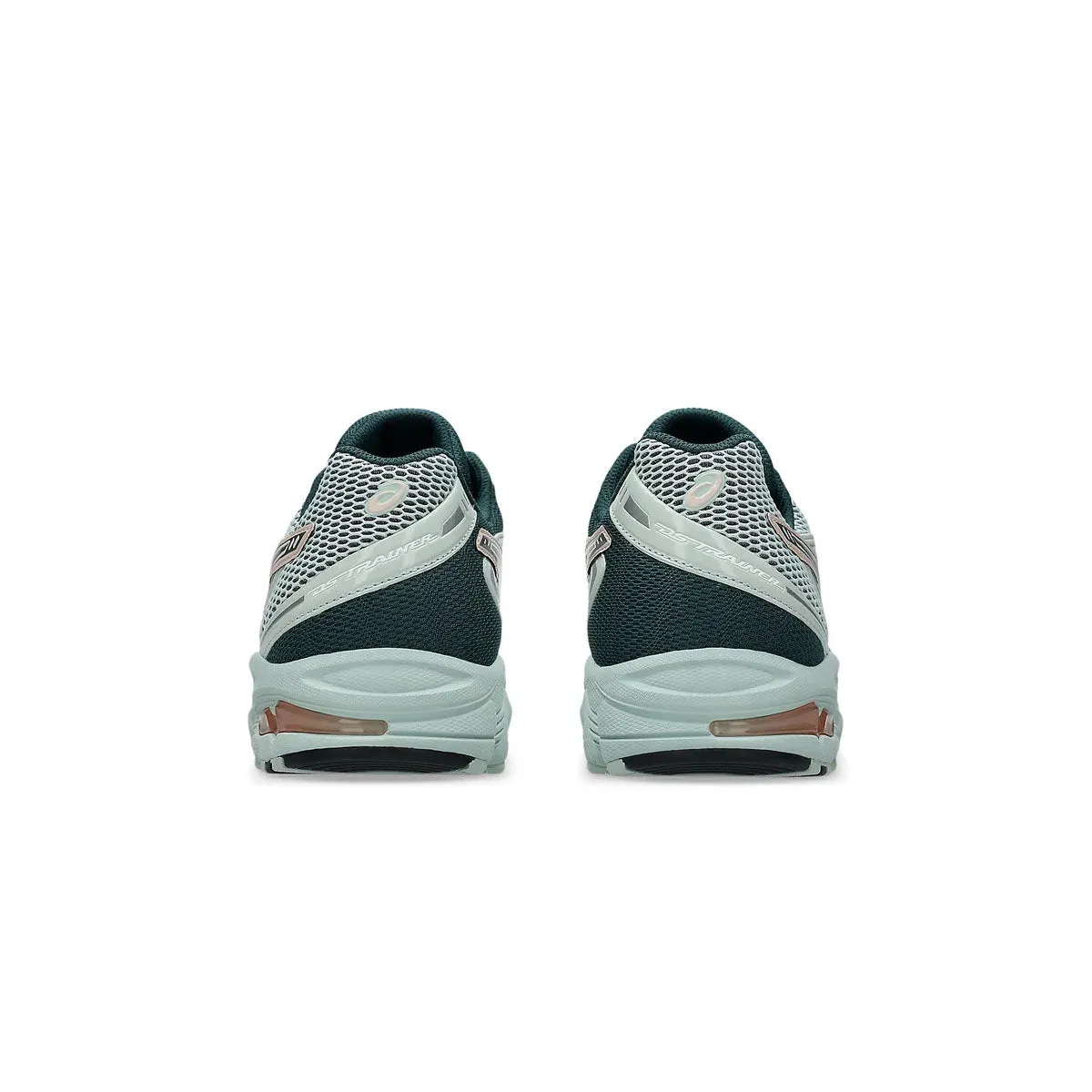 GEL-DS Trainer 14 'Flechtenfels Rein Silber'