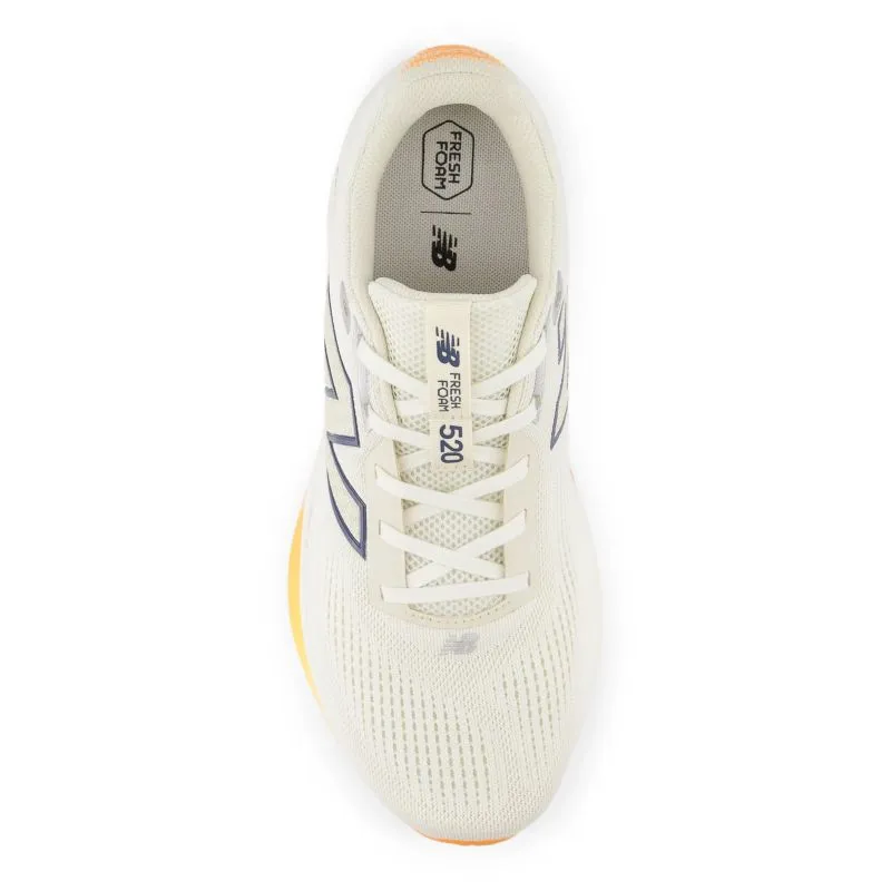 New Balance 520v9 D Herren Laufschuhe