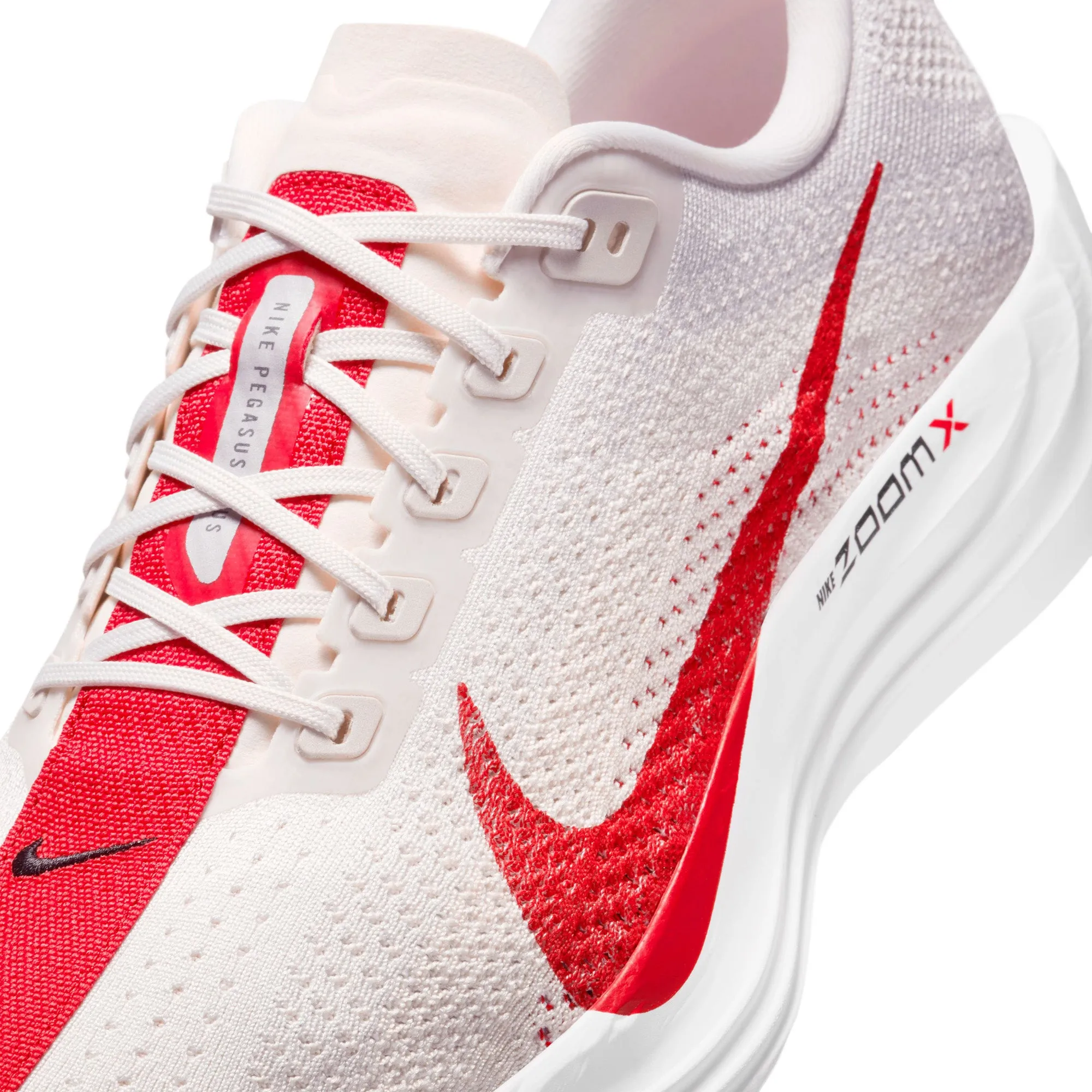 Nike Pegasus Plus Herren Laufschuhe für die Straße