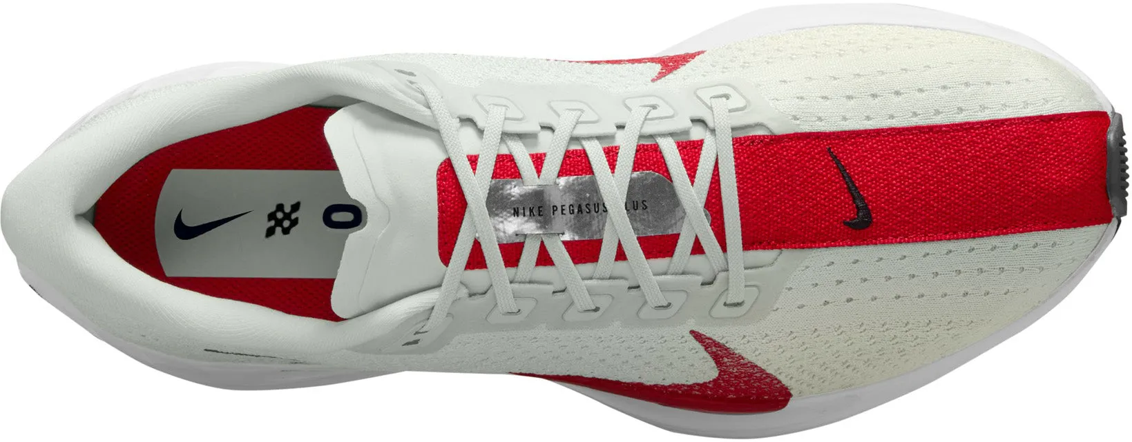 Nike Pegasus Plus Herren Laufschuhe für die Straße