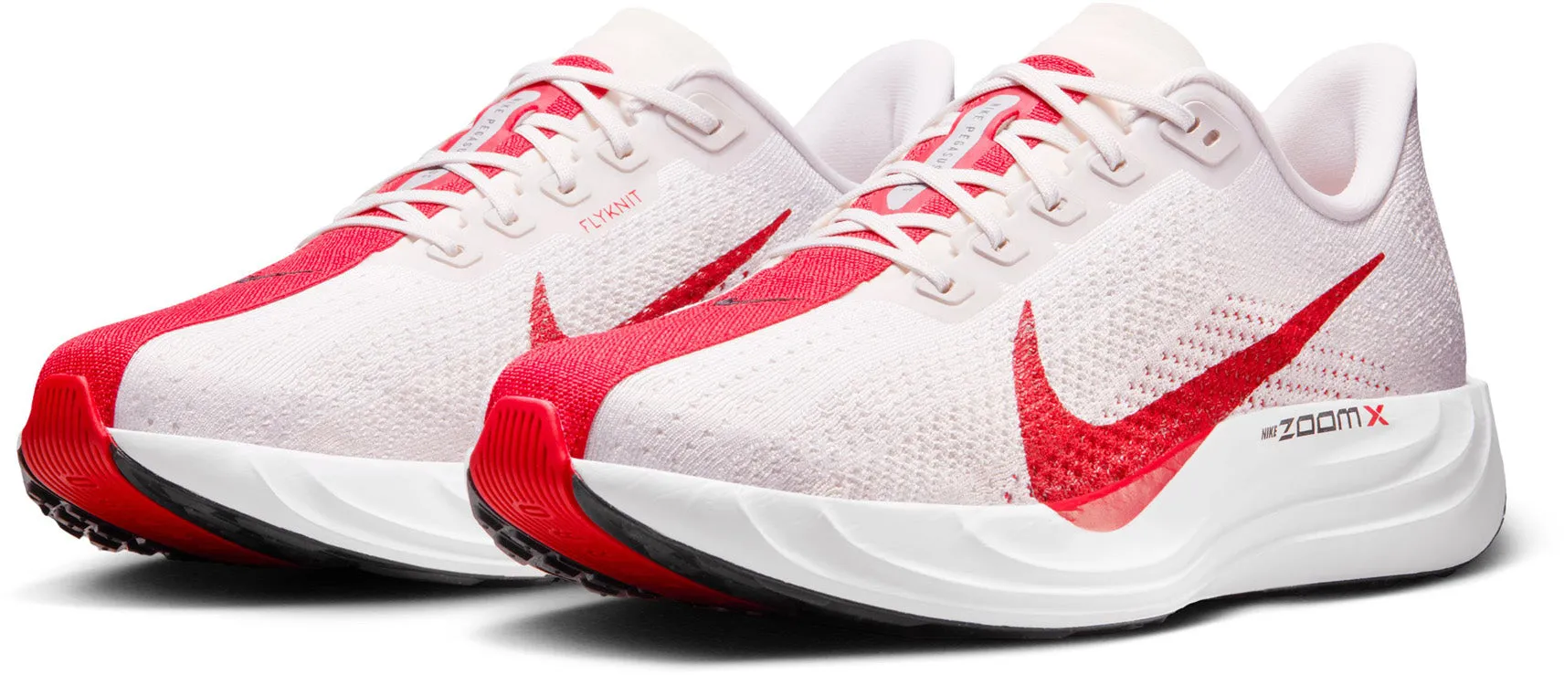 Nike Pegasus Plus Herren Laufschuhe für die Straße