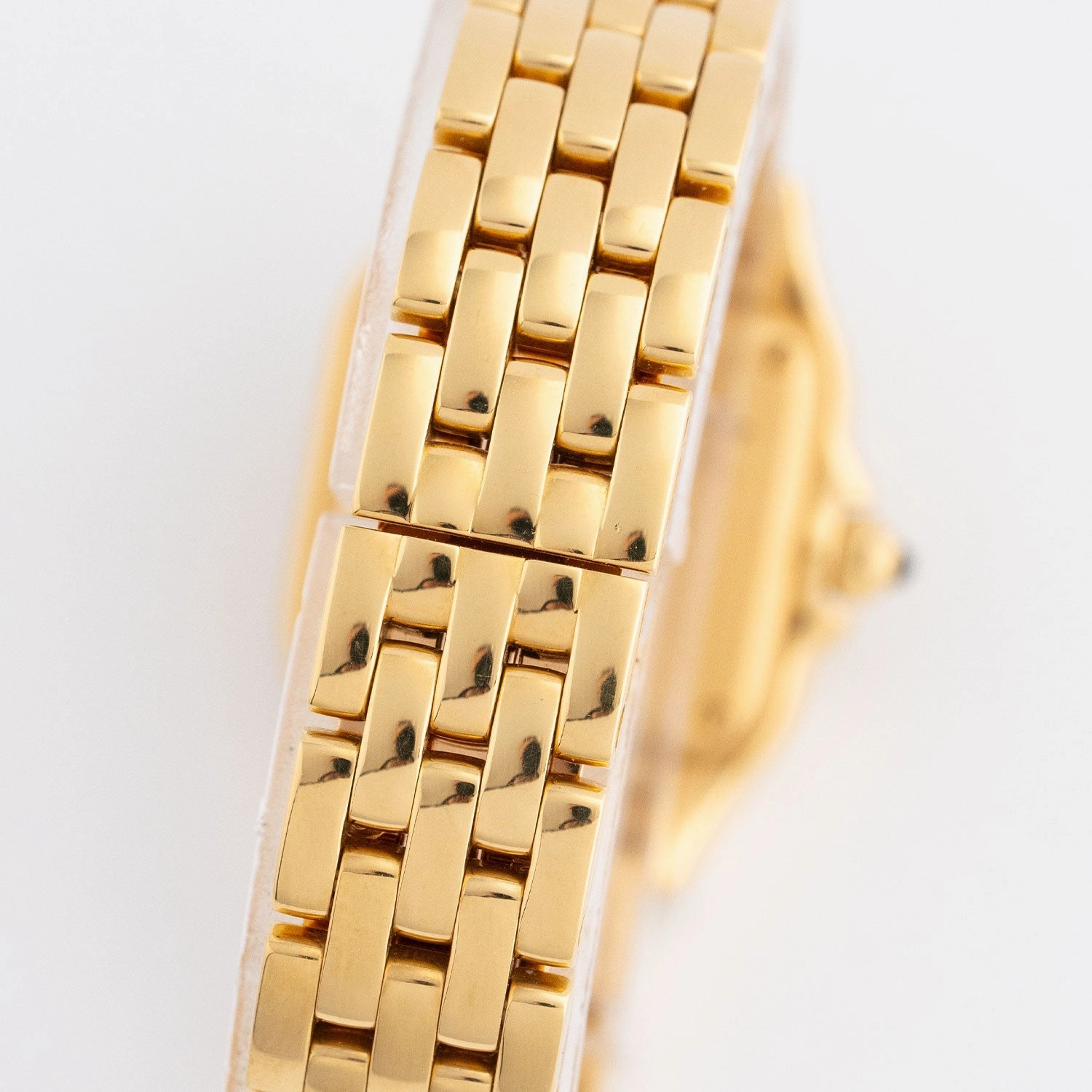 Panthere de Cartier 2024 - WGPN0038